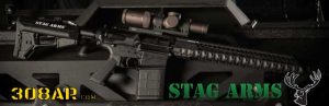 STAG ARMS STAG 10 308 AR